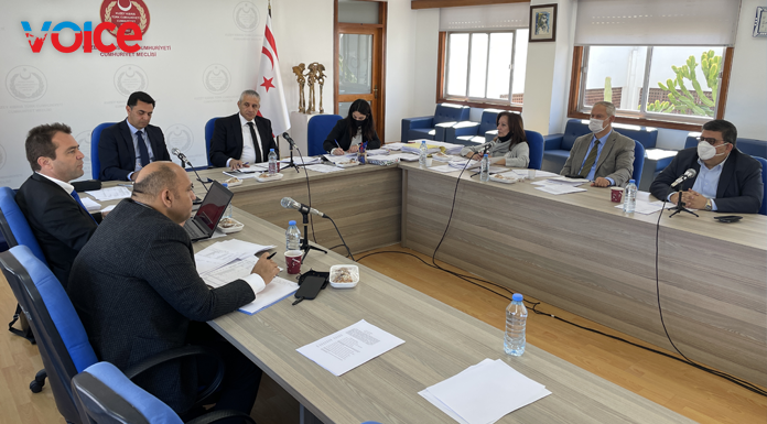 Hal Yasa Tasarısı madde madde görüşüldü