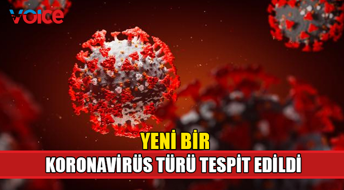 Brezilya'da yeni bir koronavirüs türü tespit edildi