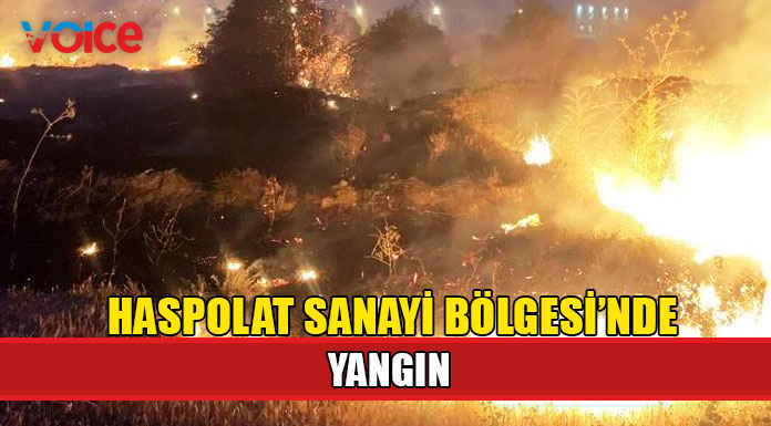 Bir yangın daha!
