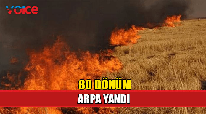 Güzelyurt’ta yangın!