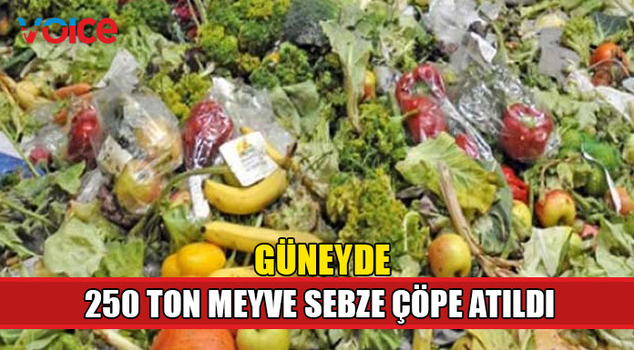 250 ton sebze ve meyve çöpe atıldı