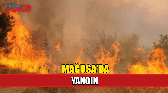 Yangınlar hız kesmiyor