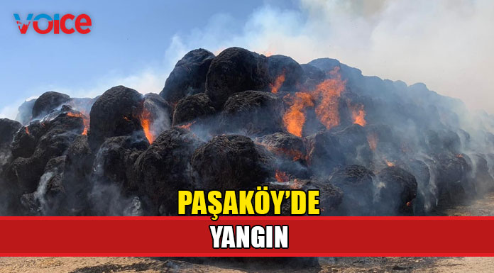Balyalar alev aldı!