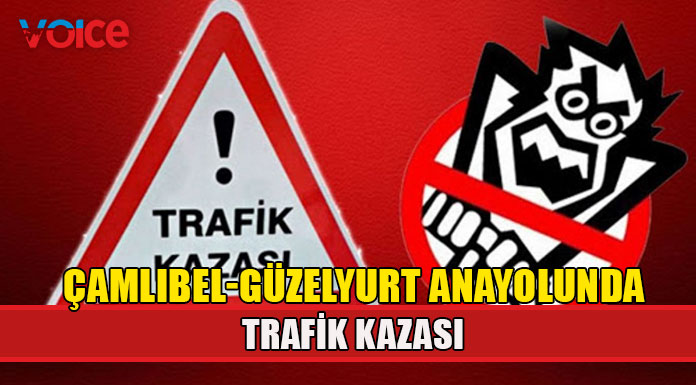 Yoldan çıkan araç ağaca çarpıp devrildi!