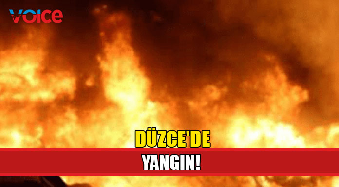Yaklaşık 55 dönüm anız yandı