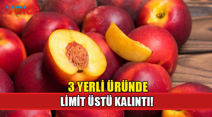 Gıda denetim sonuçları açıklandı