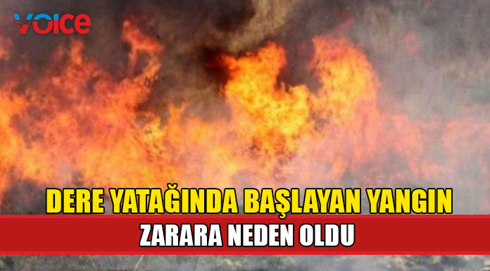 10 dönüm ve 300 balya yandı