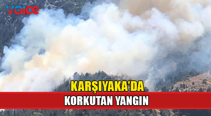 Lapta Belediyesi yardım çağrısı yaptı