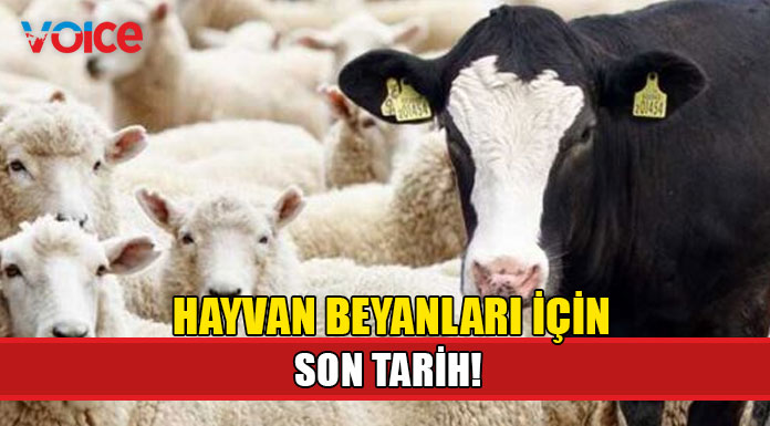 Hayvan beyanları için son tarih 16 Temmuz