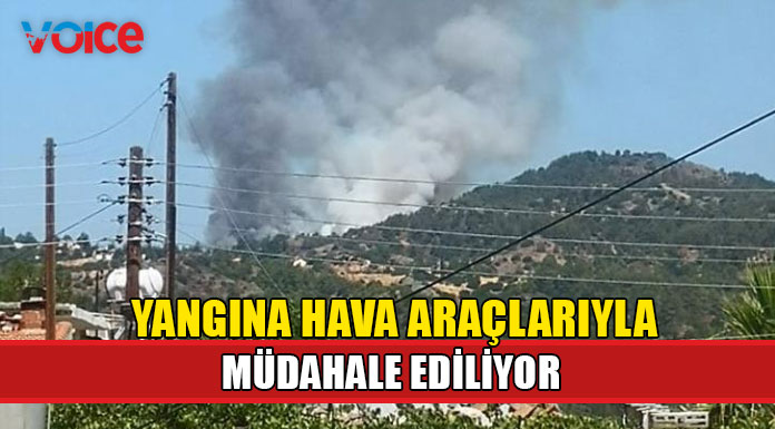 Limasol’da yine yangın!