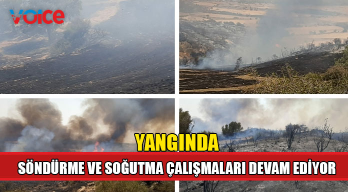 İlk tespitlere göre 70 dönümlük alan yandı