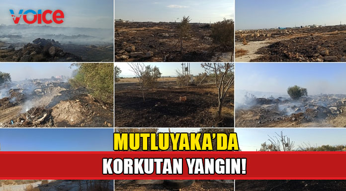 Çöplük alanda başlayan yangın çevreye yayıldı!