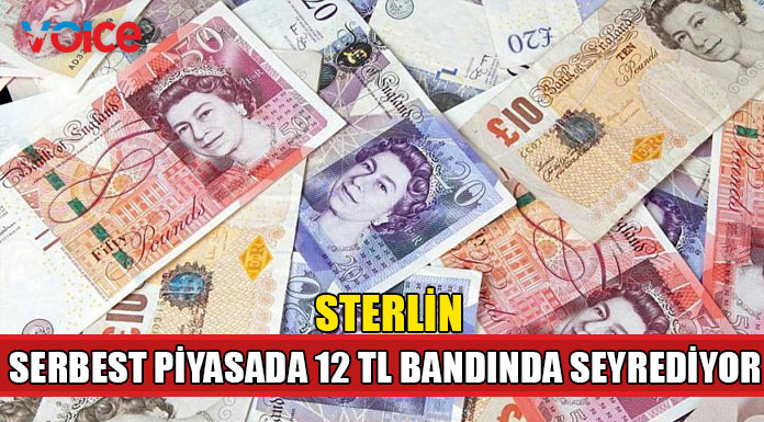 Döviz piyasalarındaki dalgalı seyir devam ediyor