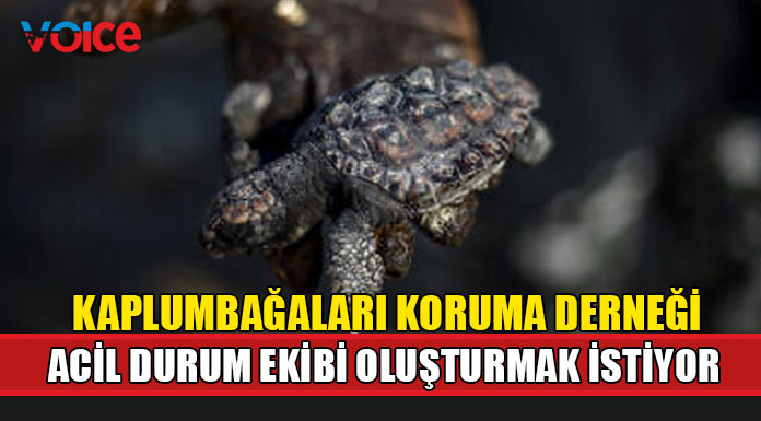 "Bu felakete karşı el ele mücadele edebiliriz"