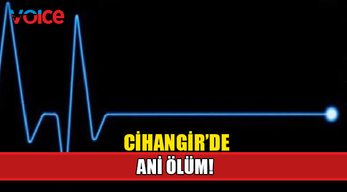 Müsteyde Erdoğdulu hayatını kaybetti!