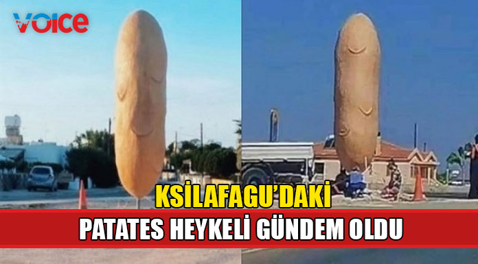 Güneyde patates heykeli gündem oldu