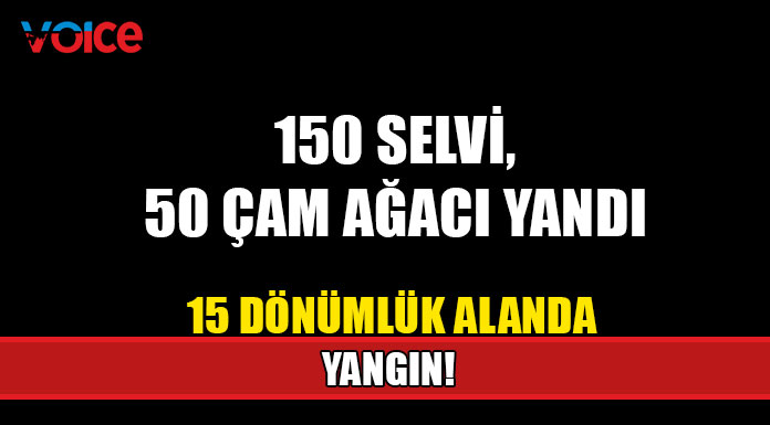 15 dönümlük alanda yangın!