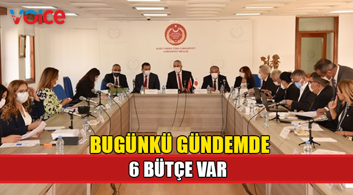 Komitedeki bütçe görüşmeleri ikinci gününde