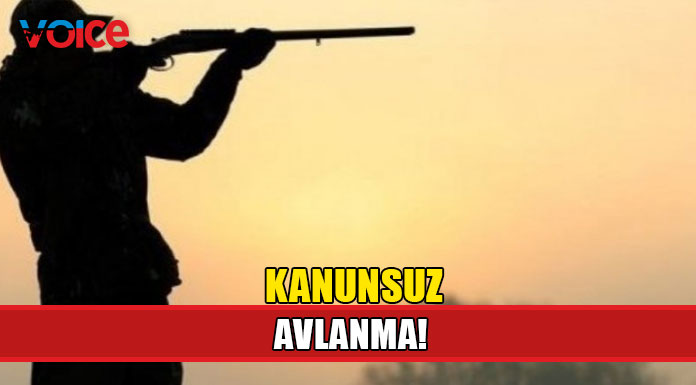3 avcı hakkında yasal işlem!