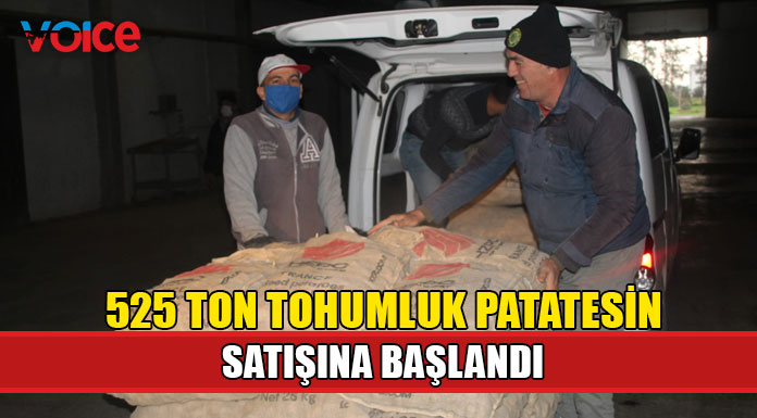 TÜK, tohumluk patates satışına başladı