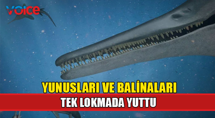 Devasa bir deniz canlısı türü keşfedildi