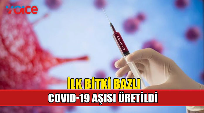 Dünyanın ilk bitki bazlı Kovid-19 aşısı üretildi