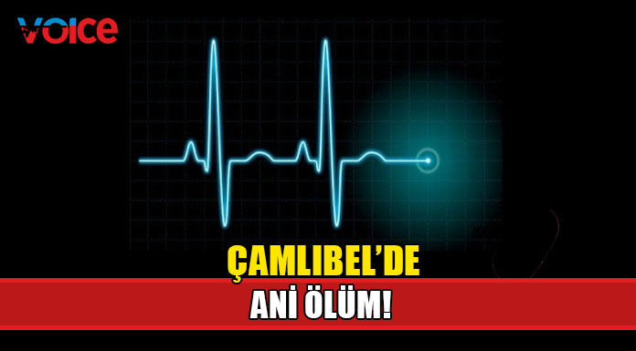 46 yaşında yaşamını yitirdi