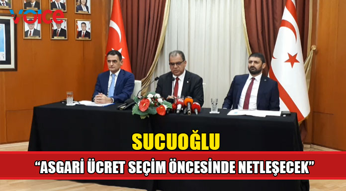 "Yeni asgari ücret seçim öncesinde muhtemelen netleşecek"