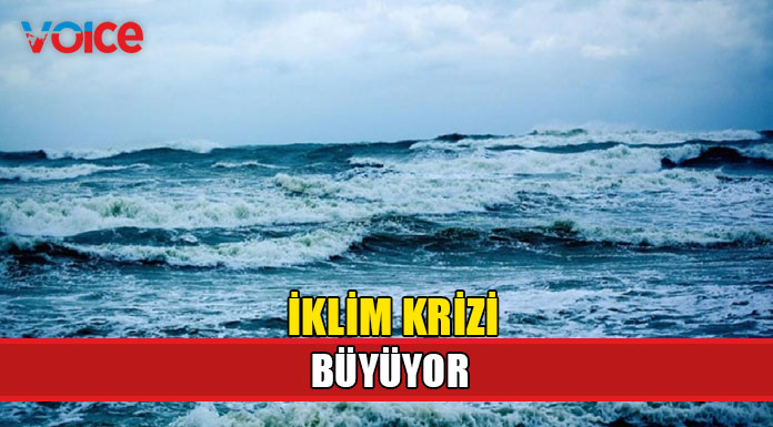 Okyanus sıcaklıkları rekor seviyede