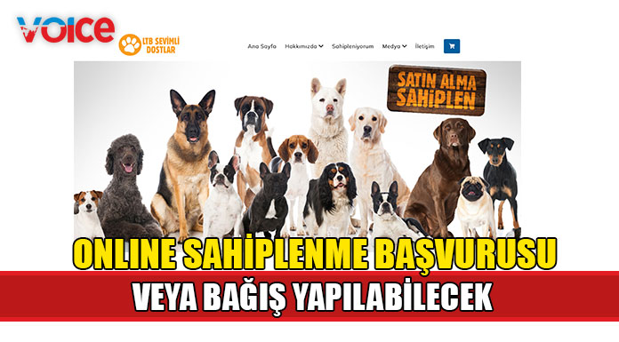 LTB Sevimli Dostlar web sitesi yayında