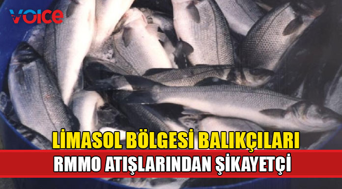 "Bölgede balık rezervi kalmadı"