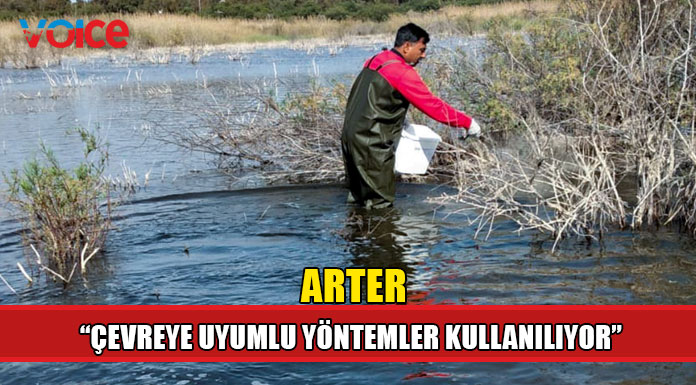 Mağusa Belediyesi sivrisinekle mücadele başlattı