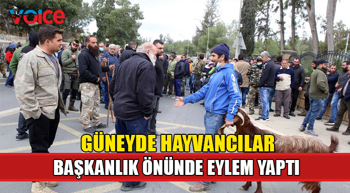 Güneyde bazı hayvancılar keçileriyle eyleme gitti