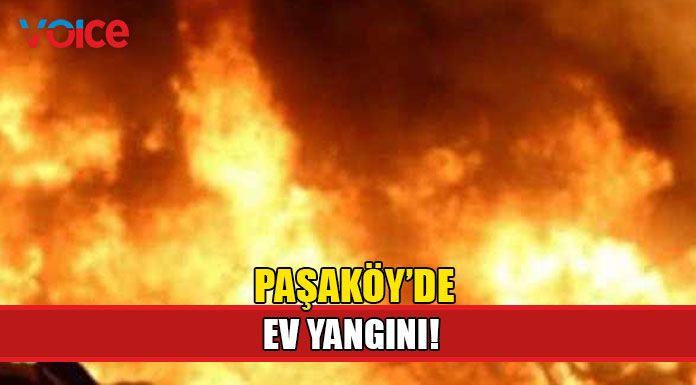 Odun sobasını yakmak isterken yangın çıktı