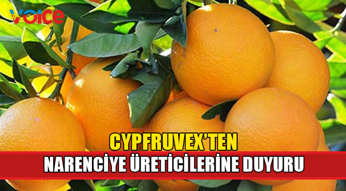 Narenciye üreticilerinin dikkatine!