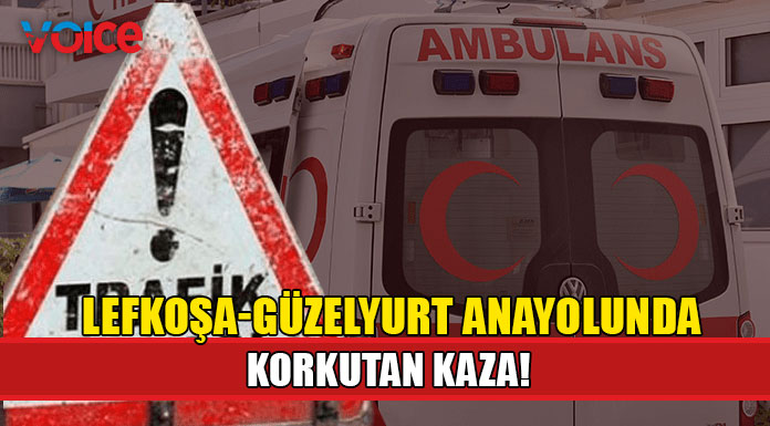 Aydınlatma direğine çarpıp devrildi