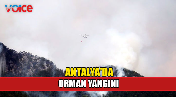 Yangına havadan ve karadan müdahale ediliyor