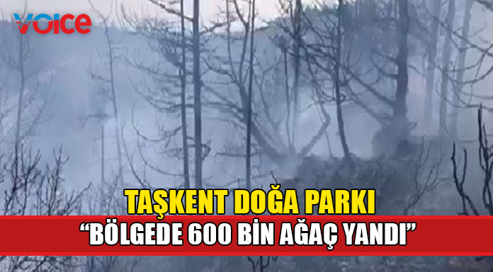 "Yangının ağır bilançosu ortaya çıkıyor"