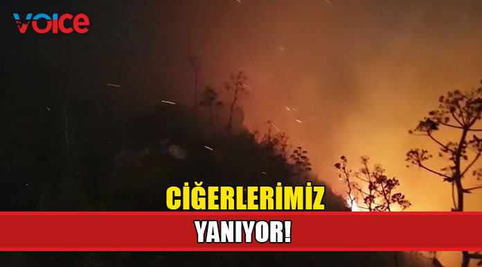 Yangına müdahale sürüyor