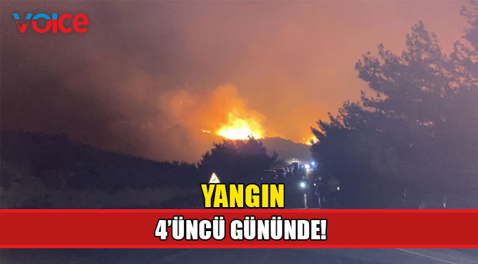 Yangına havadan müdahale yeniden başladı