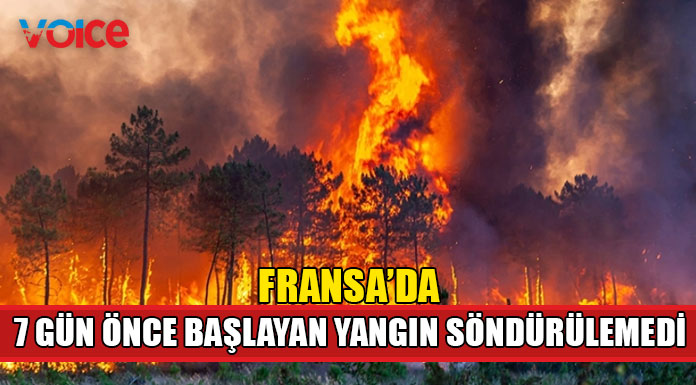 Yangın 3 noktada ilerliyor
