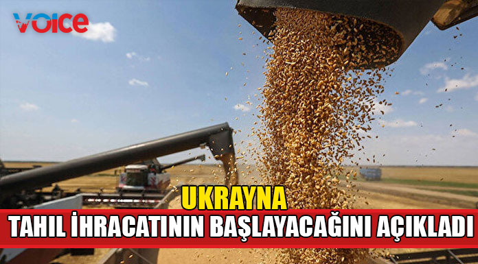 "Tahıl ihracatı birkaç gün içinde başlayabilir"
