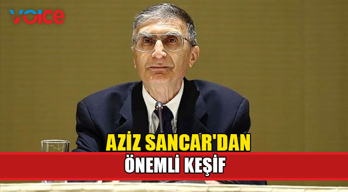 Beyin kanseri tedavisinde çığır açacak