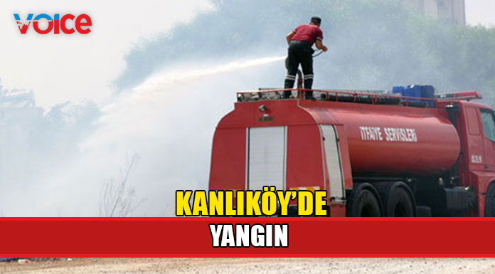 Yangında 70 dönüm zarar gördü!