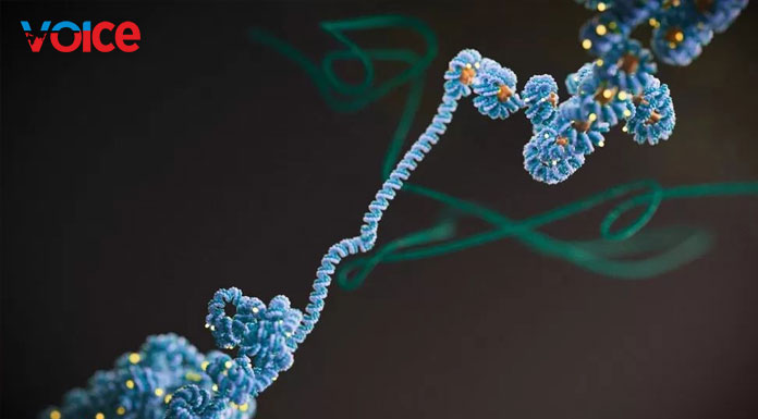 Dark matter' find could change cancer treatment