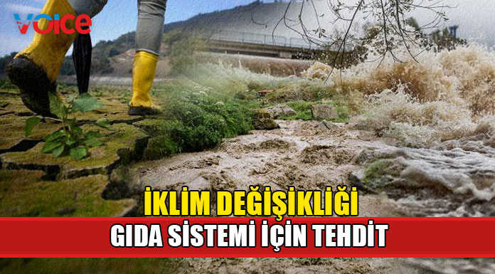 2050’ye kadar milyonlar için açlık riski