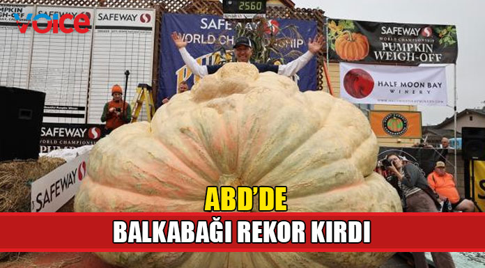 ABD'de rekor büyüklükte balkabağı