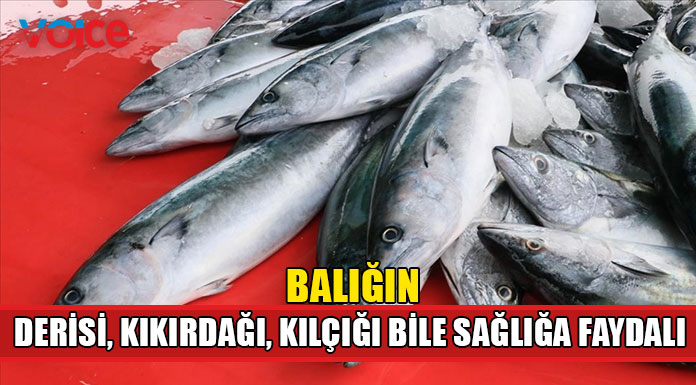 "Balık hem ilaç hem de bir besindir"
