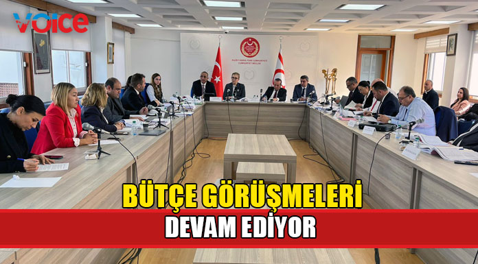 Komite, 3 bütçeyi daha onayladı