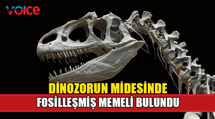 İlk kez somut verilere ulaşıldı